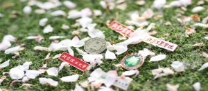 北京理工大学与英国兰开夏大学电子工程专业本科学位